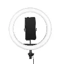 digitek-professional-dimmable-ring-light-for-iphone-android-phones-and-cameras-35-56-cm-product-images-orvsjjo5m09-p591543088-0-202205231831.webp